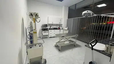 Tuncer Veteriner kliniği saray Tekirdağ Veteriner Hekim Tuncay Tuncer