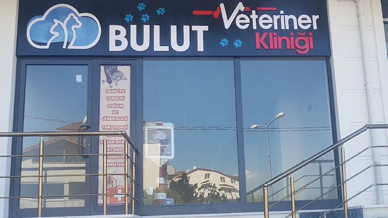 BULUT Veteriner Kliniği Başiskele foto 1