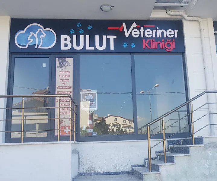 BULUT Veteriner Kliniği Başiskele foto 2