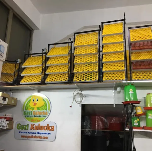 Gazi Kuluçka Makinası Malzemeleri Fiyatları Kafes Kümes Zonguldak İstanbul Antalya Gaziantep Makinesi Tavukçuluk Ekipmanları foto 2