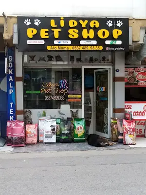 lidya petshop