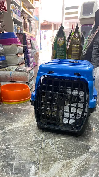lidya petshop foto 2
