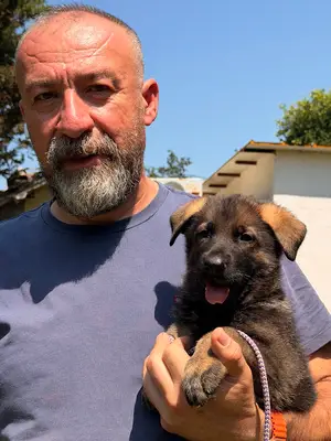 Von Erk Alman Çoban Köpeği Üreticisi ve Köpek Eğitim Merkezi 2003