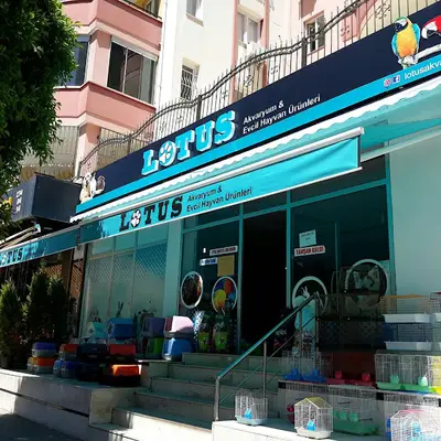 Lotus Akvaryum ve Evcil Hayvan Ürünleri