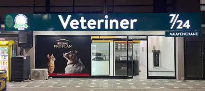 Demirtaş Veteriner Kliniği | 7/24 Acil Veteriner | Nöbetçi Veteriner | Demirtaş Veteriner | Osmangazi Veteriner
