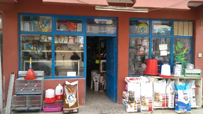 BİLGİN PETSHOP