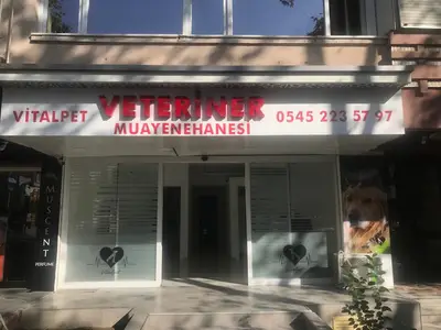 Bakırköy Veteriner - Vitalpet Veteriner Kliniği -