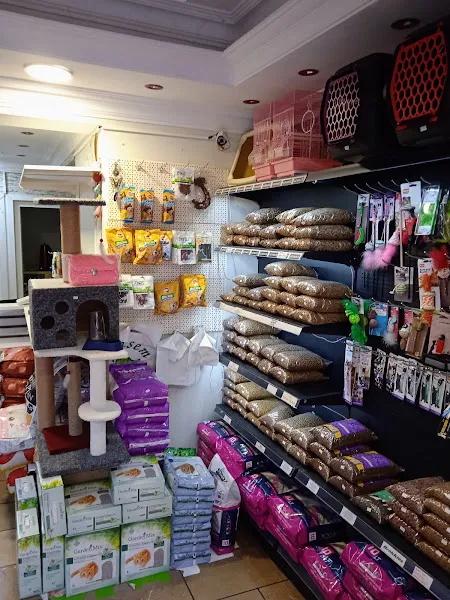 Çisem Petshop foto 2