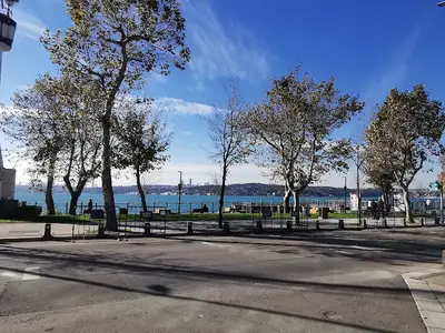 Beykoz Belediyesi Veteriner İşleri Müdürlüğü