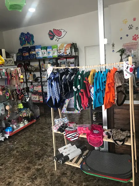 Şanslı Petshop Pet Kuaför Beylikdüzü foto 2