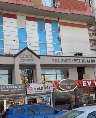 Cool Dogs Pet Shop & Pet Kuaför