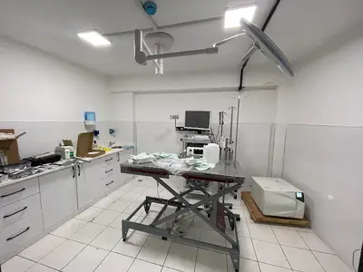 Patika Veteriner Kliniği