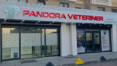 Esenler Acil Veteriner | Esenler Pandora Veteriner Kliniği