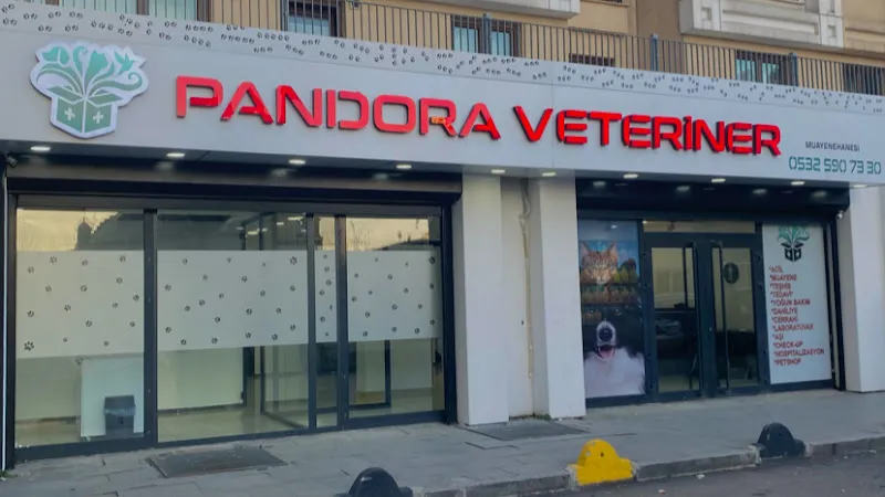 Esenler Acil Veteriner | Esenler Pandora Veteriner Kliniği foto 1