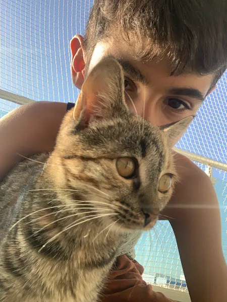 Maltepe Belediyesi Veteriner Kliniği foto 2