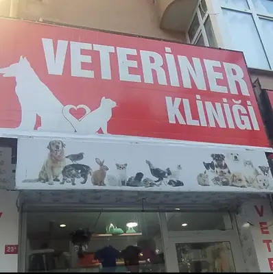 PestVet Veterinerlik Silivri