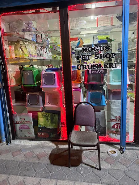 Doğuş Pet Shop & Akvaryum foto 1