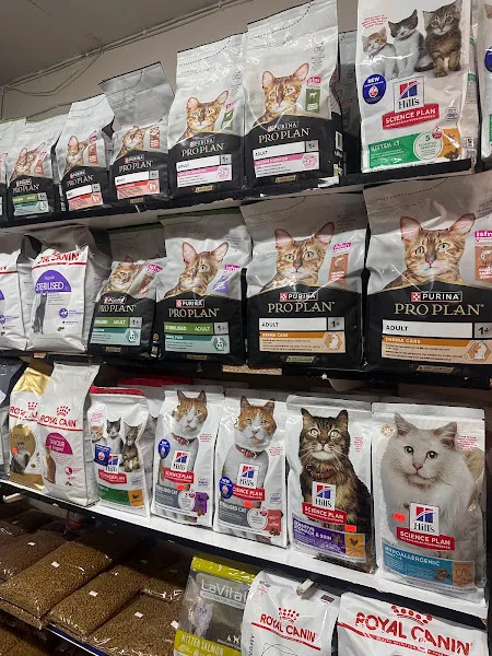 Doğuş Pet Shop & Akvaryum foto 2