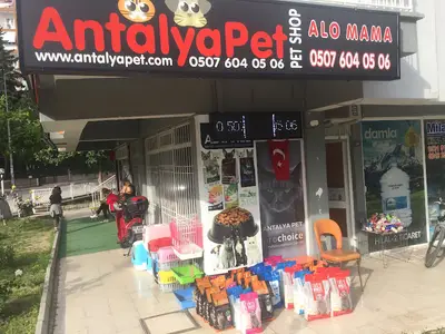 Antalyapet Hurma Şubesi