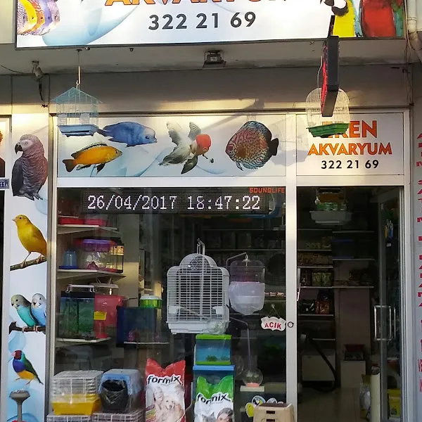 EREN AKVARYUM foto 2