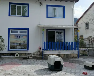 Fethiye Veteriner Kliniği