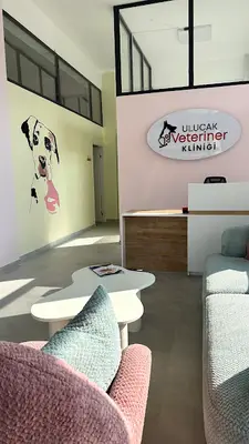 Ulucak Veteriner Kliniği