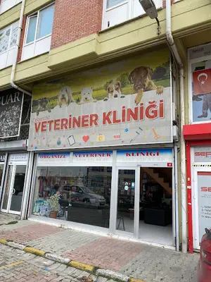 ORGANİZE VETERİNER