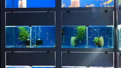 ERAPATİ PETSHOP