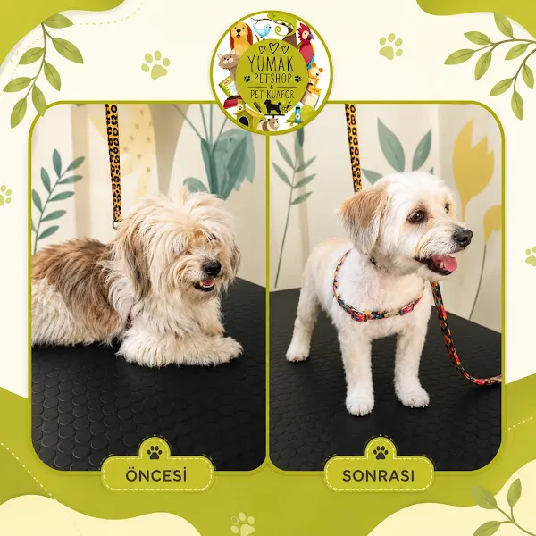 YUMAK PETSHOP & YUMAK PET KUAFÖR foto 2