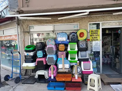 Amazon Akvaryum