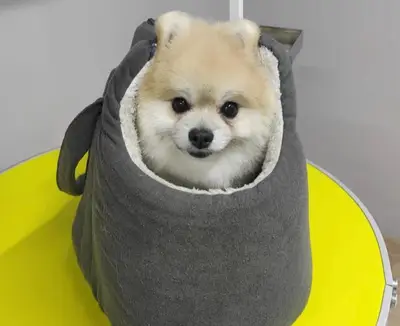 Patizi Kedi Köpek Oteli ve Kuaför