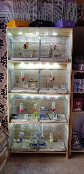 BULL PET STORE foto 2
