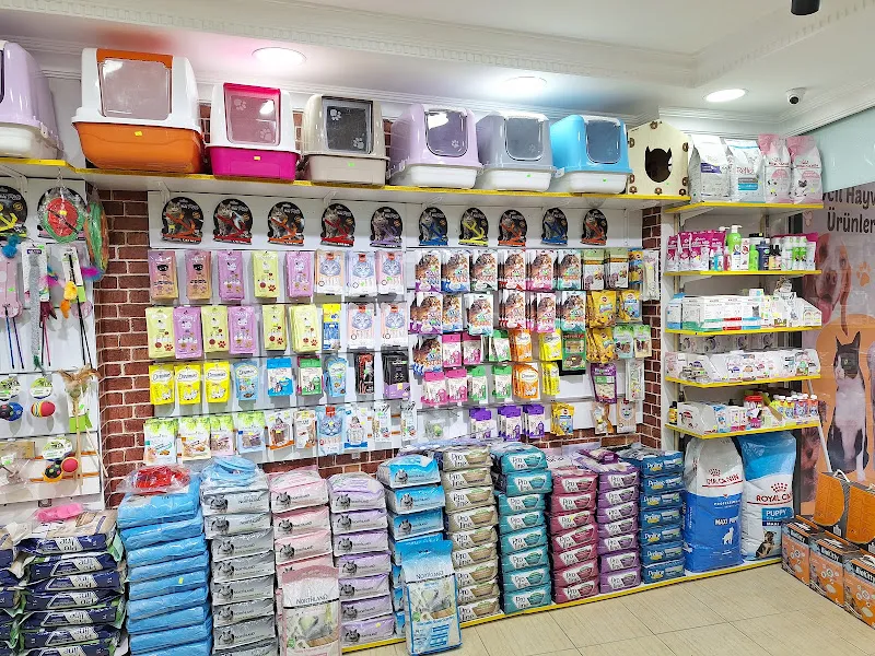Esenler Akvaryum&Petshop foto 2