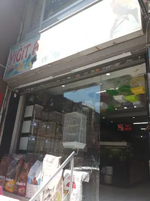 Yiğit Akvaryum