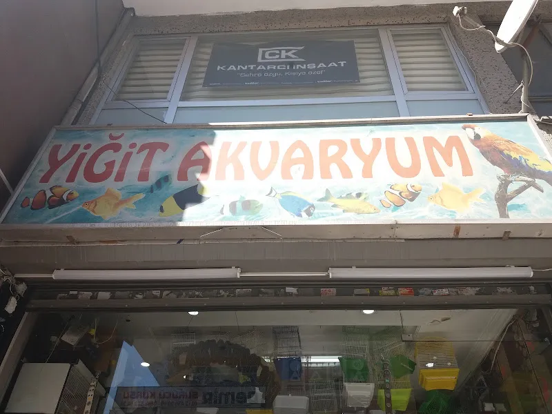 Yiğit Akvaryum foto 2