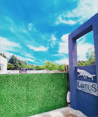 Lotus Pet Country Köpek Hotel & Pansiyon ve Eğitim Hizmetleri