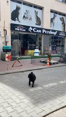 Zeytin Petshop