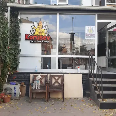 Vetroom Korusev Hayvan Hastanesi