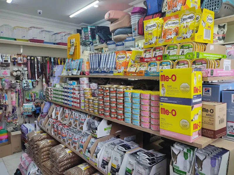 Pet 35 Pet Shop foto 2
