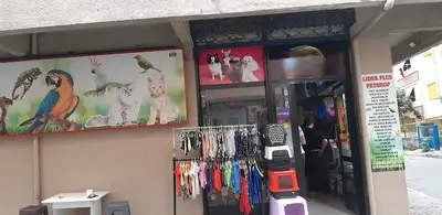 Lider Plus Pet Shop & Pet Kuaför