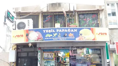 Yeşil Papağan