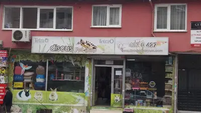 Discus Akvaryum & PetShop