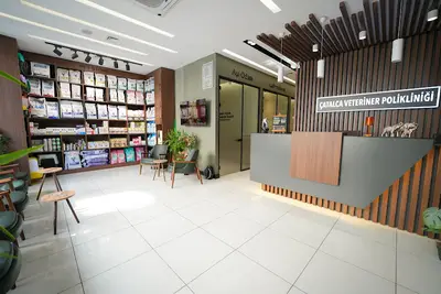 Çatalca Veteriner Polikliniği