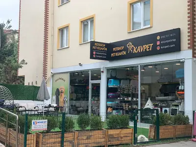 Kavpet Petshop & Pet Kuaför