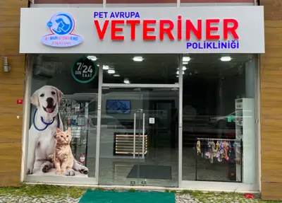 PetKoza Avrupa Veteriner Kliniği - Bahçeşehir / Esenyurt Acil Veteriner Kedi Köpek Egzotik 7/24