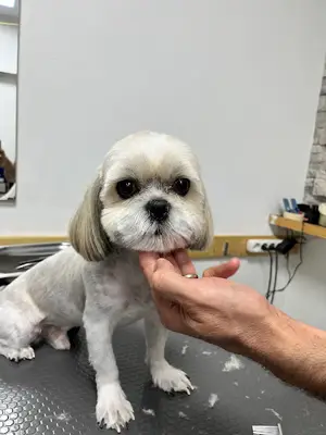 TATİ PET KUAFÖR