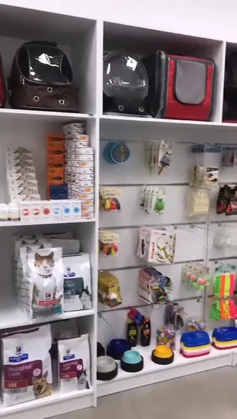 Etimesgut Bugs Bunny Veteriner Kliniği foto 2