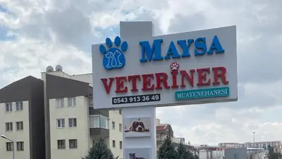 Etimesgut Maysa Veteriner Tıp Merkezi 7/24