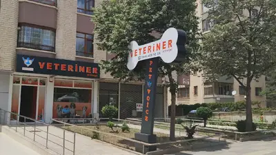 PETVOİCE VETERİNER KLİNİĞİ