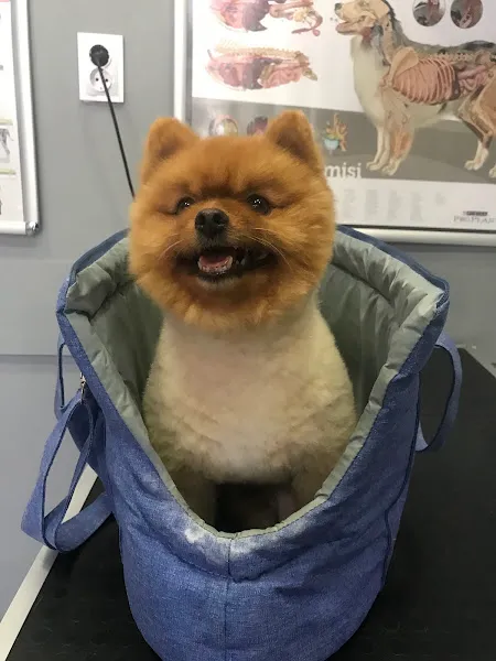 Damla Veteriner Kliniği foto 1